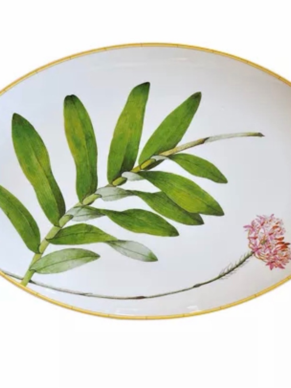 Bernardaud Jardin Indien Porcelain Oval Platter with Green Leaf Motif- New